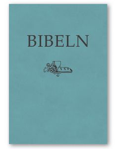 Bibeln SFB 2015, kompakt, turkos skinnimitation